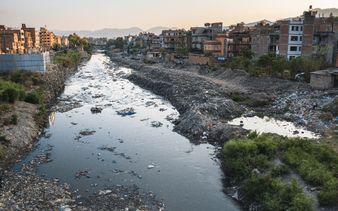 4 Ways to Remove Toxic Waste Before I Sell My House in California